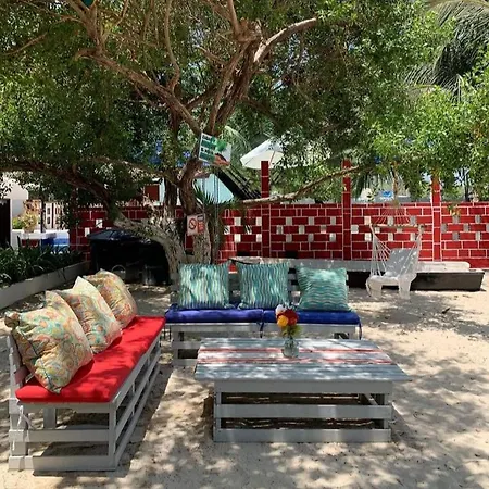 Hotel Summer Beachotel 3*